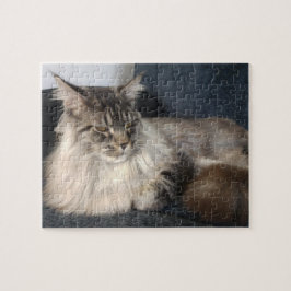 Maine-Waschbär-Katzen-Puzzle