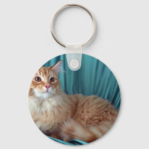 Maine-Waschbär, roter Tabby Schlüsselanhänger