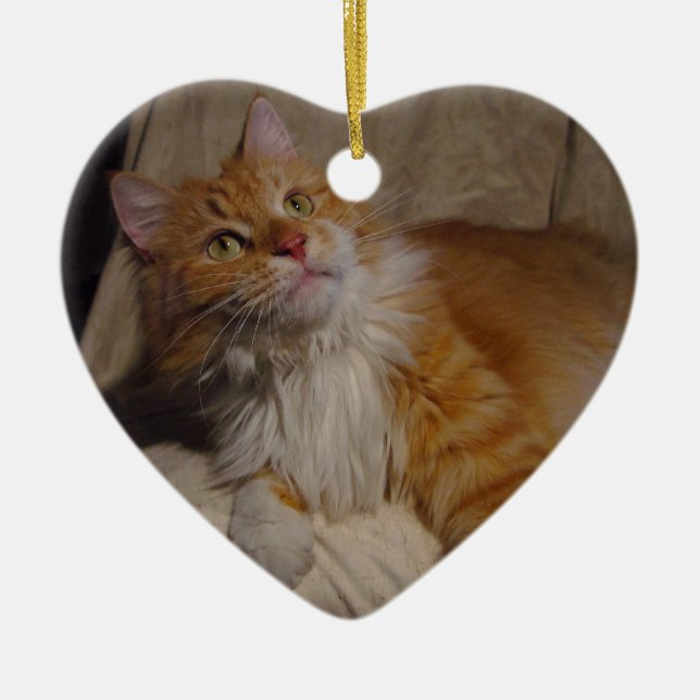 Maine-Waschbärkatze Verzierung Keramik Ornament (Vorne)