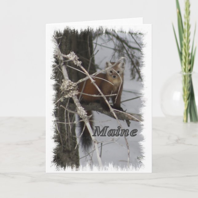 Maine Wildlife - Pine Marten Feiertagskarte (Vorderseite)