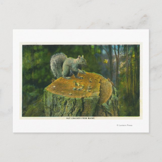 MaineA Little Nutcracker Eichhörnchen aus Maine Postkarte (Vorderseite)