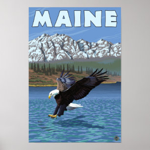 MaineEagle Fischen Poster