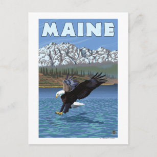 MaineEagle-Fischerei Postkarte
