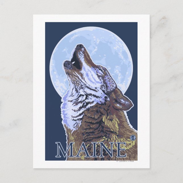 MaineHowling Wolf Postkarte (Vorderseite)