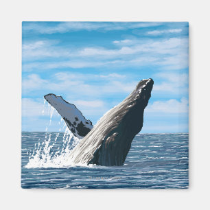 MaineHumpback Wal-Szene Magnet