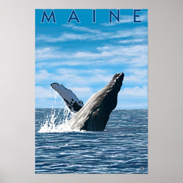 MaineHumpback Whale Scene Poster (Vorne)