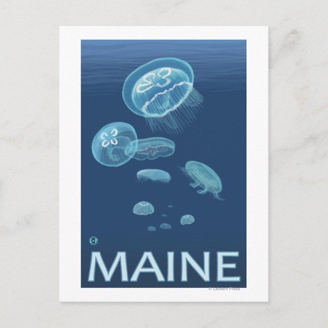 MaineJellyfish-Szene Postkarte (Vorderseite)