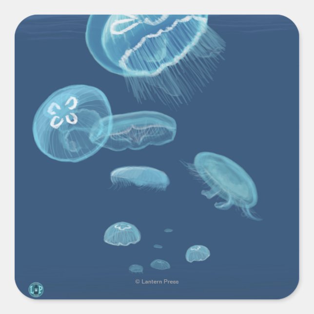 MaineJellyfish-Szene Quadratischer Aufkleber (Vorderseite)