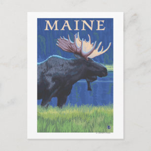MaineMoose im Mondschein Postkarte