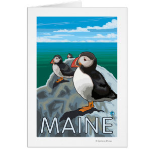 MainePuffins Szene