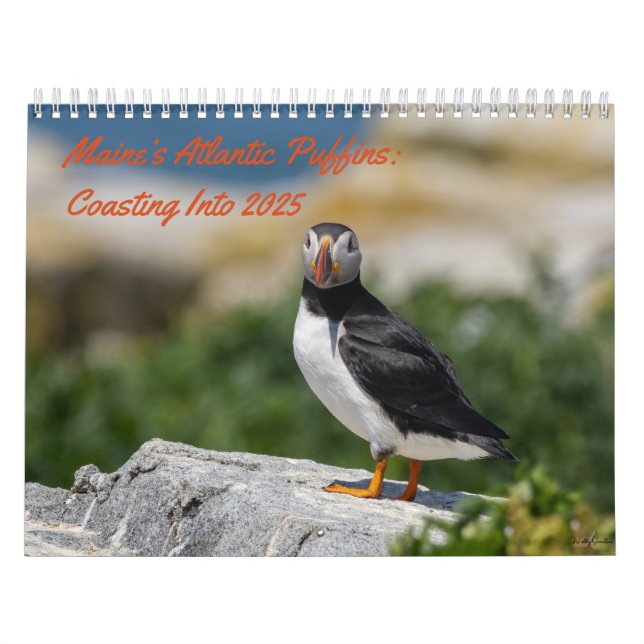 Maine's Puffins: Das Ende des Kalenders 2025 Kalender (Titelbild)
