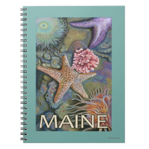 MaineTidepool Scene Notizblock