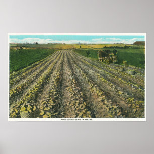 MaineView einer Kartoffelfarm in Maine Poster