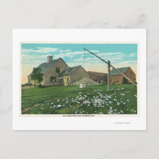MaineView eines alten New England-Hauses Postkarte (Vorderseite)