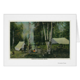 MaineView eines Campground im Maine-Holz