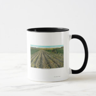 MaineView eines Kartoffel-Bauernhofes in Maine Tasse