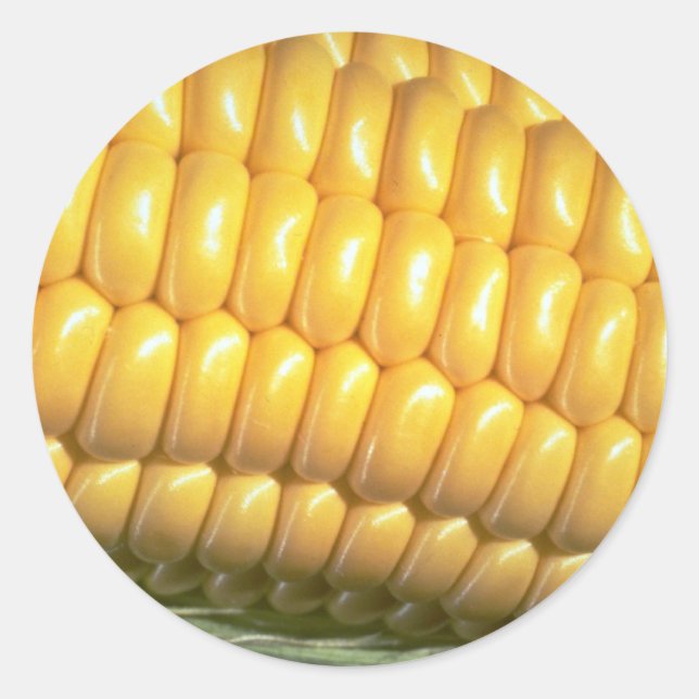 Mais auf dem Cob Runder Aufkleber (Vorderseite)