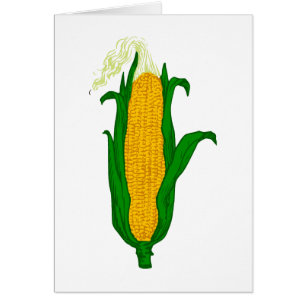 Maïs Corn cob