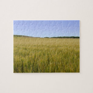 Mais-Feld-Puzzle