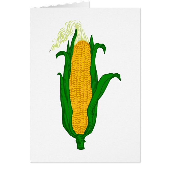 Mais Maiskolben corn cob (Vorne)