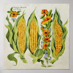 Mais- und Mark-Blumen 2014 Poster