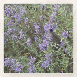 Maisbiene Glasuntersetzer