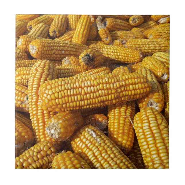 Maisernte Fliese (Vorderseite)