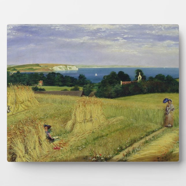 Maisfeld auf der Isle of Wight Fotoplatte (Vorderseite)