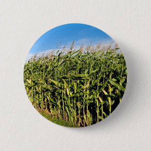 Maisfeld und Himmel Button
