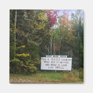 Maisgrün behalten magnet