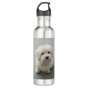 Maisie Baumwolle de Tulear Puppy Edelstahlflasche