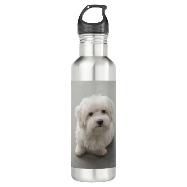 Maisie Baumwolle de Tulear Puppy Edelstahlflasche (Vorderseite)