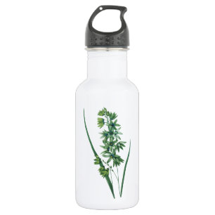 Maislilie (Ixia viridiflora) von Redouté Trinkflasche