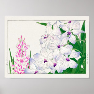 Maislilie, Vanda coerulea, Tanigami Konan Poster