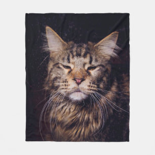 Maismünze auf schwarzem Hintergrund Jungtier,Katze Fleecedecke