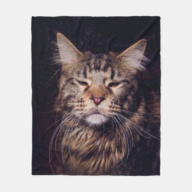 Maismünze auf schwarzem Hintergrund Jungtier,Katze Fleecedecke (Vorderseite)
