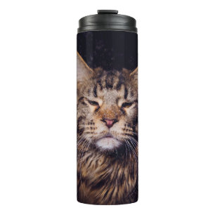 Maismünze auf schwarzem Hintergrund Jungtier,Katze Thermosbecher