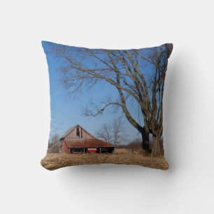 Maison historique en Illinois, Coussin des Etats-U