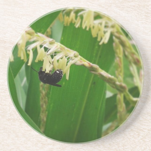 Maispollen ist heute für die Bienen lecker. Getränkeuntersetzer (Vorne)