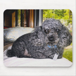 Maitai der Pudel, Mausunterlage Mousepad