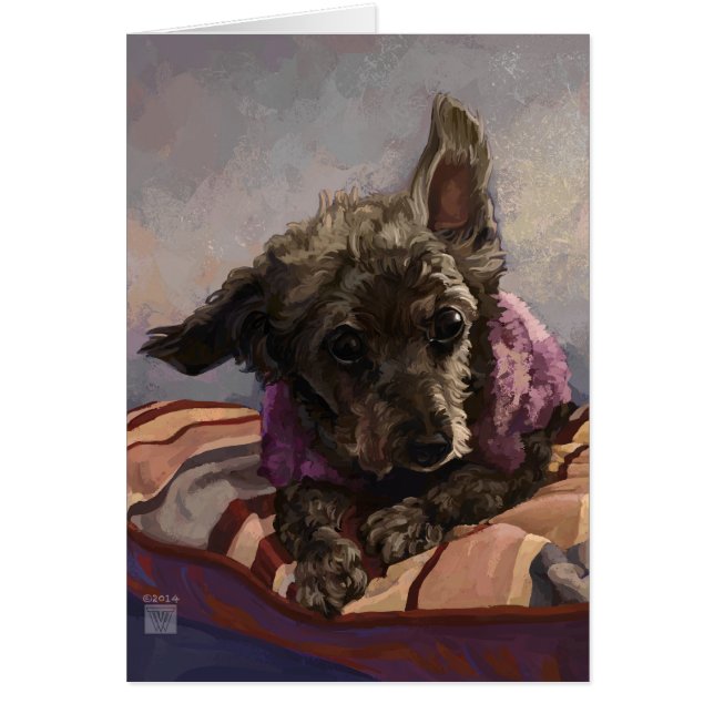 Maîtriser le caniche (Devant)