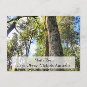 Maits Erholung Rainforest Walk Cape Otway Victoria Postkarte