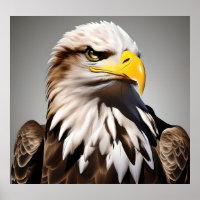 Majestät auf Hochtouren: Der Adler im Flug
