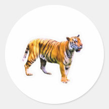 Majestätiger Sumatra-Tiger - Bedrohte Tierwelt Con
