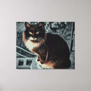 Majestätische flauschige Katze auf einem Podest Leinwanddruck