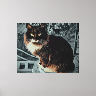 Majestätische flauschige Katze auf einem Podest Leinwanddruck