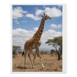 Majestätische Giraffe, die über die afrikanische S Poster