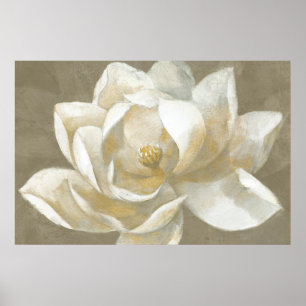 Majestätische Magnolie Poster