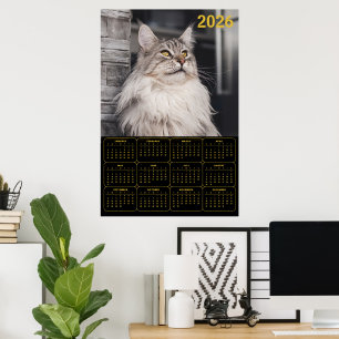 Majestätische Maine Coon-Katze – 2026 Wandkalender Poster