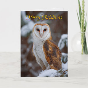 Majestätische Schleiereule Foto Weihnachtskarte Karte